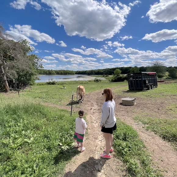 ๐๐๐๐ฆ๐ซ๐๐๐๐ญ๐ - Picture 1 of 1